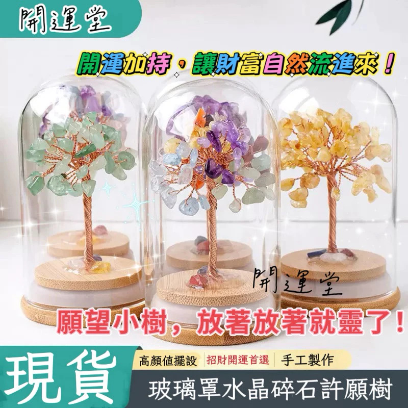 發財樹 水晶樹樹 紫